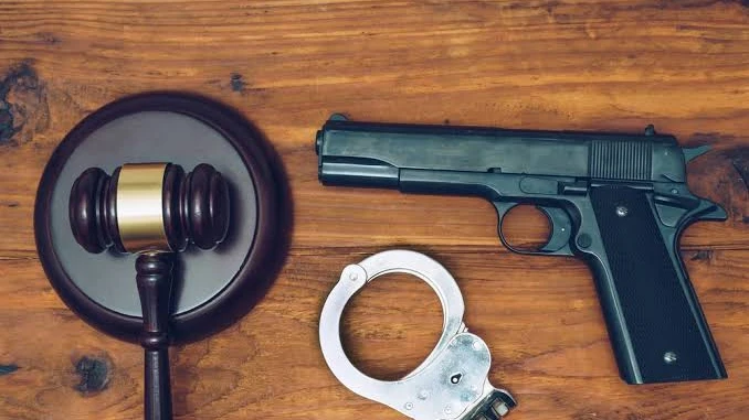 Gun and weapon
