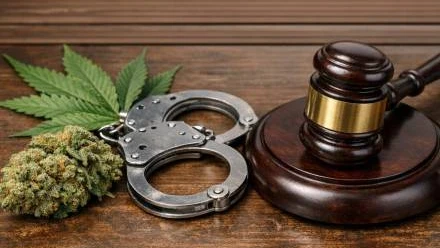 Marijuana